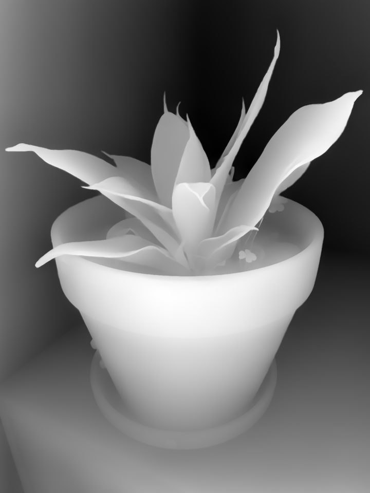 Grayscale depth map of the photo, nearer areas brighter